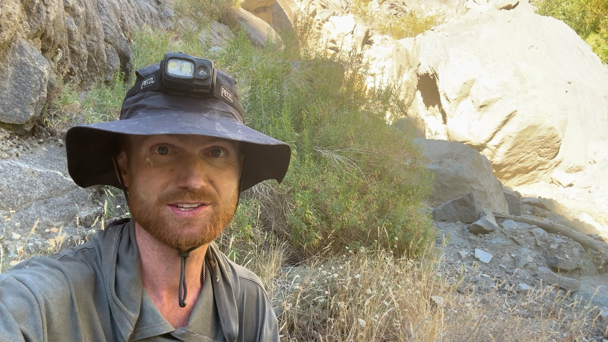 Searching for the Beekeeper of McElvoy Canyon
